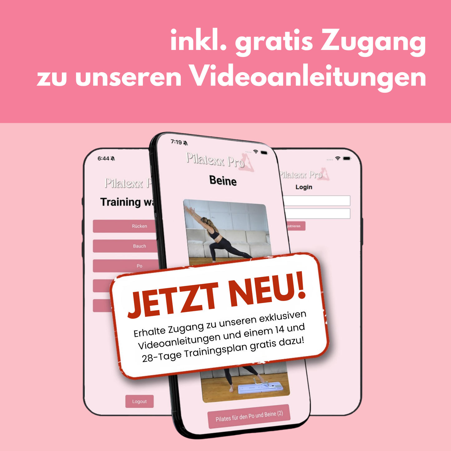 Pilatexx Pro Fitness Set inklusive videoanleitung mit ueber 50 uebungen